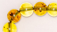 Latin American Solid Amber KLA10 | Kombologadiko